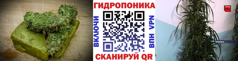 MEGA ТОР  Ступино  Cannafood конопля 