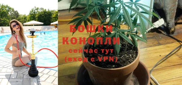 гидра Алексин