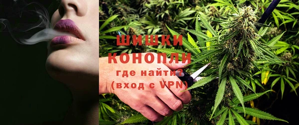 spice Алзамай