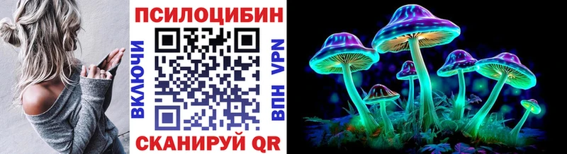 Псилоцибиновые грибы Cubensis  блэк спрут ТОР  Ступино  закладка 