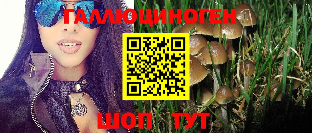 где продают наркотики  Галлюциногенные грибы Psilocybine cubensis  Вход с VPN  Ступино 
